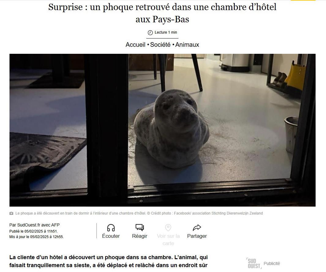 Nouveau locataire