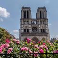 Notre Dame de Paris - Tristesse Extrême - 