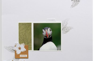 Défis Ha.pi Litlle Fox:  #1