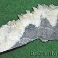 CALCITE - DOLOMITE 295