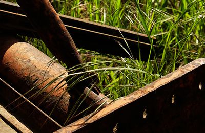 Première tentative de série : les traces de l'homme dans la nature