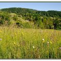 Dans le Val d'Ainan