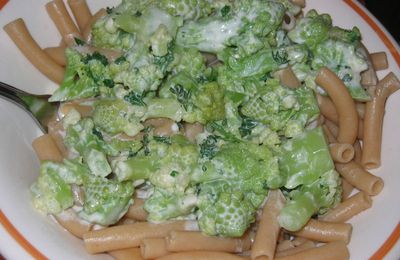 Macaronis de kamut au chou romanesco