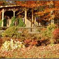 Randonnée dans la forêt du club Toque Rouge à Sherbrooke....