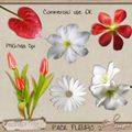 CU fleurs naturelles pack 1 et 2 (by soval)