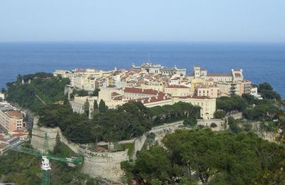 Le Jardin Exotique de Monaco