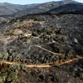 Incendies dans le Var