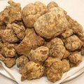 Une truffe blanche de 750 grammes adjugée à 143.000 euros