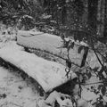 Premières neiges - Birkenfel - novembre 2008