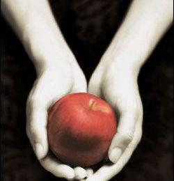 Fascination - Stephenie Meyer