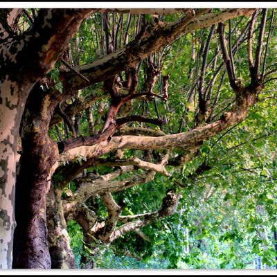 Que se passe t'il chez LMC ? ...