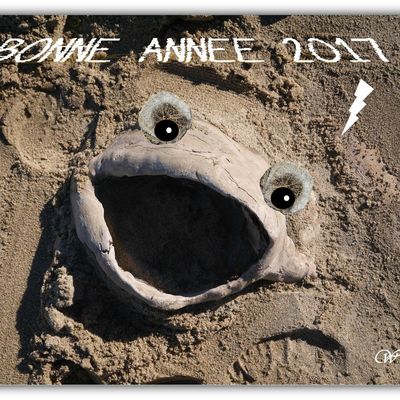 JE "VOEUX" VOUS LA SOUHAITER POUR 2017 .... 