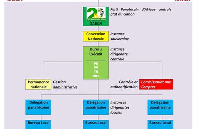 Structure organique du premier Parti Panafricain d'Afrique Centrale (PPAC ou 2PAC)