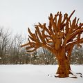 Landmark exhibition brings Ai Weiwei's vision to Meijer Gardens in Grand Rapids