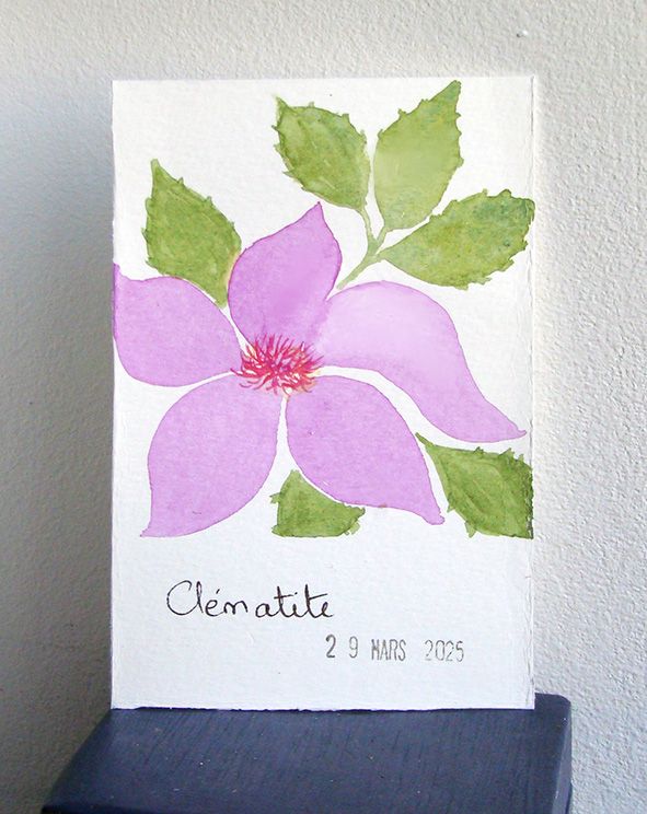 10 Clématite