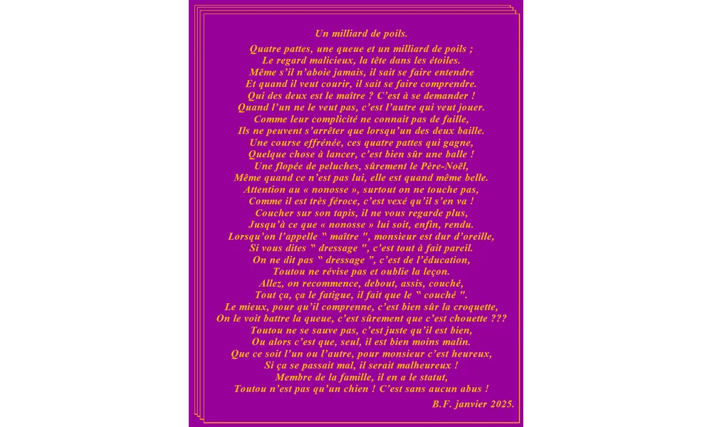 Un milliard de poils.