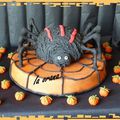 Gâteau araignée/Spider cake