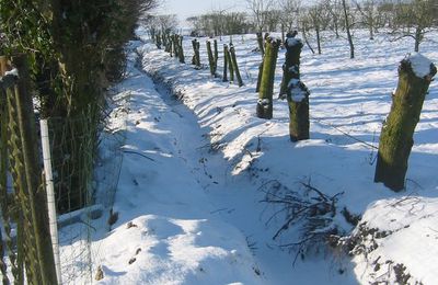 Les travaux commencent, la neige débarque !