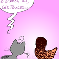 balade et poulette