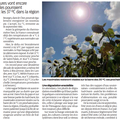 Réchauffement climatique