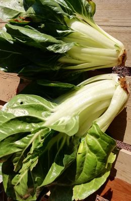 Un panier tout en verdure ! 