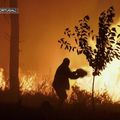 Incendie au Portugal