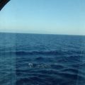 Vendredi 29 Août 2014 - Day At Sea