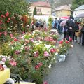FOIRE AUX PLANTS A ESPINASSES