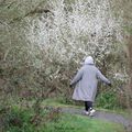 Promenons-nous dans les bois