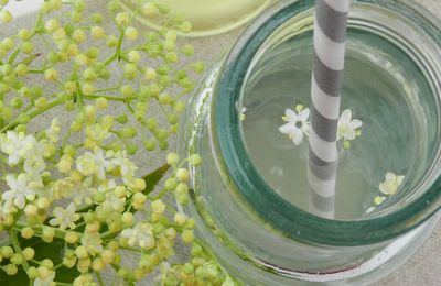 Le sirop de fleurs de sureau