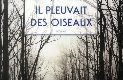 Il pleuvait des oiseaux, Jocelyne Saucier