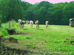 LE SENTIER DES DOUANIERS