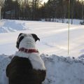 Bancs de neige