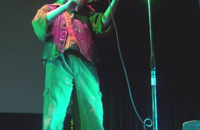 La Fête de la Saint-Patrick à la Maison de quartier de Villejean à Rennes le 17 mars 2004