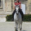 Le Musée du cheval à Chantilly (Oise) le 7 août 2015 (3)