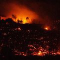 Incendie aux Canaries