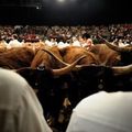 Meeuh qu'est ce que la filière bovine française attend pour s'organiser ?!