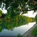 La Marne dans son lit 