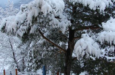 22 AVRIL LA NEIGE EST LA