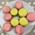 Coques macarons