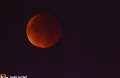 L'éclipse totale de Lune du 28 septembre 2015 en images...