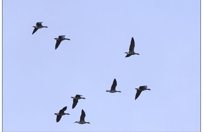 Quelques images prises à Uitkerke