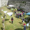 Fête des plantes.