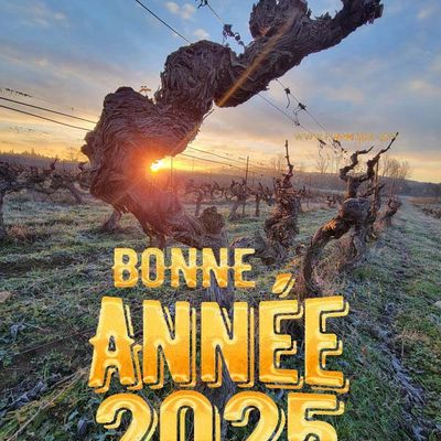 Bonne année 2025