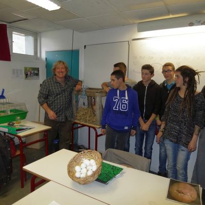 Sensibilisation à l'élevage de poules : une couveuse à la MFR