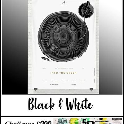 COUP DE CŒUR S 290 : "Black & white"