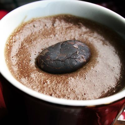 MouSSe choCoLat au laiT, féVes de CaCao cru
