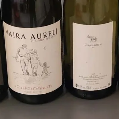 Soirée Rising stars, les jeunes domaines à la hype