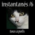 instantanés 6/tous à poils