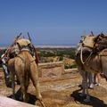 sur la hauteur une vue d'Essaouira